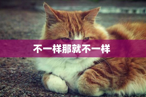 不一樣那就不一樣 