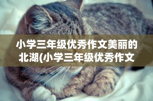 小學三年級優秀作文美麗的北湖(小學三年級優秀作文動物) 