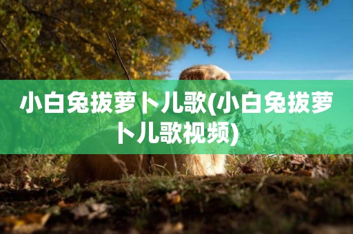 小白兔拔蘿卜兒歌(小白兔拔蘿卜兒歌視頻) 