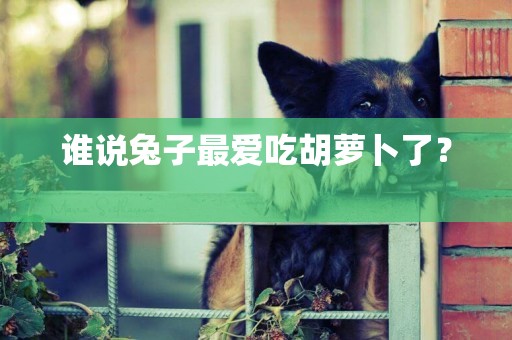 誰說兔子最愛吃胡蘿卜了？ 