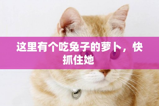 這里有個吃兔子的蘿卜，快抓住她 