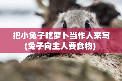 把小兔子吃蘿卜當作人來寫(兔子向主人要食物) 