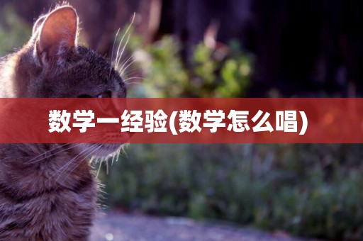 數學一經驗(數學怎么唱) 