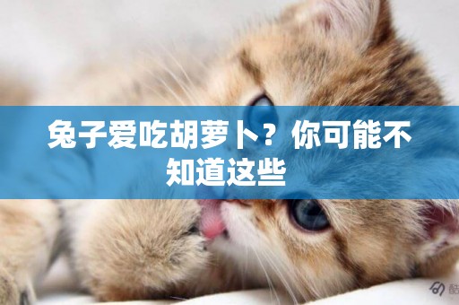 兔子愛吃胡蘿卜？你可能不知道這些 