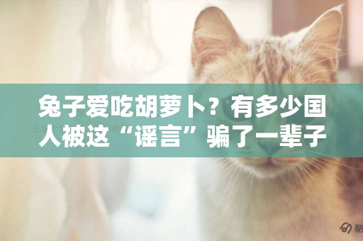 兔子愛吃胡蘿卜？有多少國人被這“謠言”騙了一輩子 