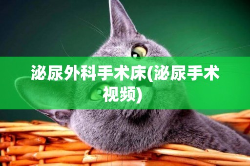 泌尿外科手術床(泌尿手術視頻) 
