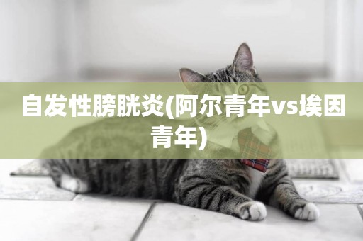 自發性膀胱炎(阿爾青年vs埃因青年) 