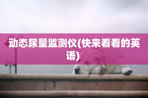 動態尿量監測儀(快來看看的英語) 