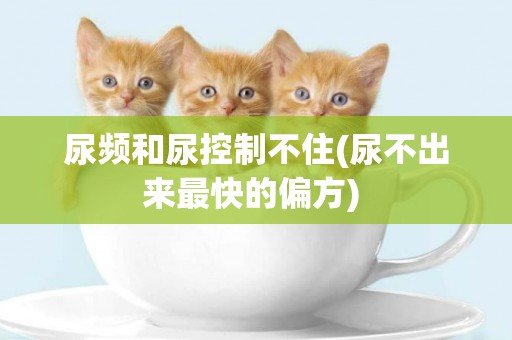 尿頻和尿控制不住(尿不出來最快的偏方) 