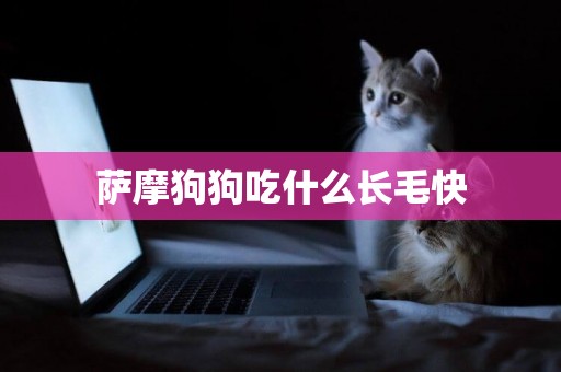 薩摩狗狗吃什么長毛快