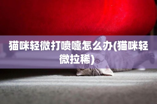 貓咪輕微打噴嚏怎么辦(貓咪輕微拉稀) 