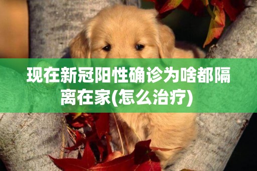 現在新冠陽性確診為啥都隔離在家(怎么治療) 