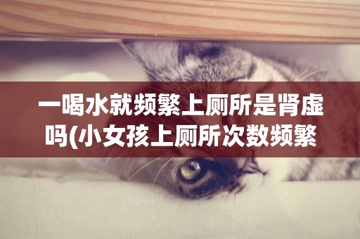 一喝水就頻繁上廁所是腎虛嗎(小女孩上廁所次數頻繁怎么回事) 