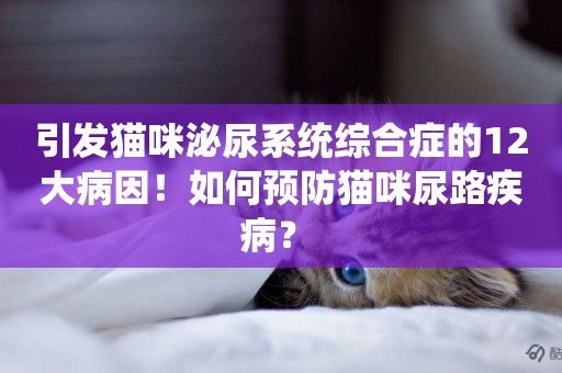 引發貓咪泌尿系統綜合癥的12大病因！如何預防貓咪尿路疾病？ 