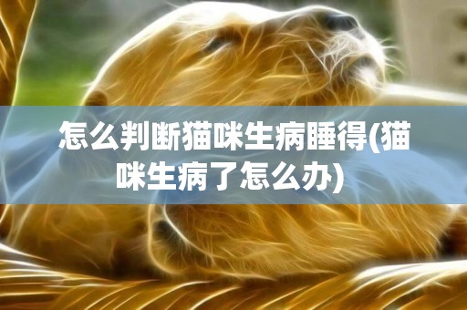 怎么判斷貓咪生病睡得(貓咪生病了怎么辦) 