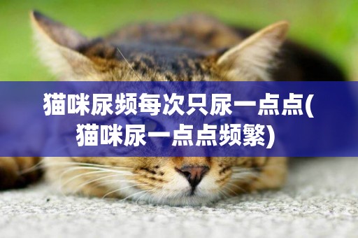 貓咪尿頻每次只尿一點點(貓咪尿一點點頻繁) 