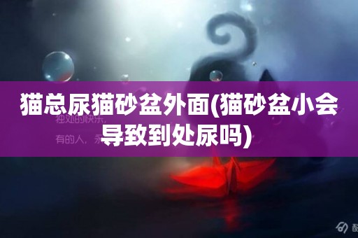 貓總尿貓砂盆外面(貓砂盆小會導致到處尿嗎) 