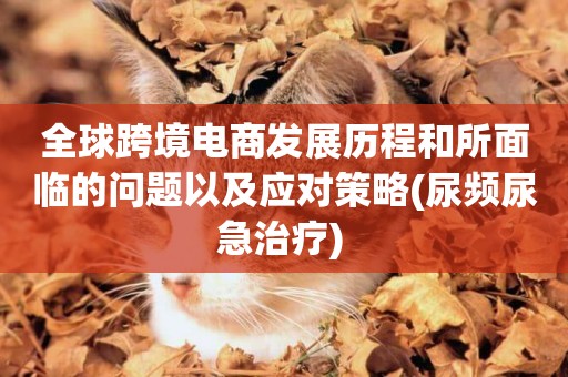 全球跨境電商發展歷程和所面臨的問題以及應對策略(尿頻尿急治療) 
