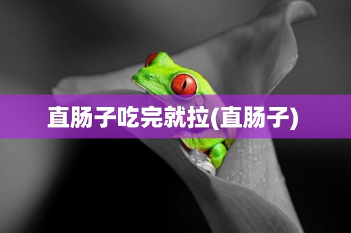 直腸子吃完就拉(直腸子) 
