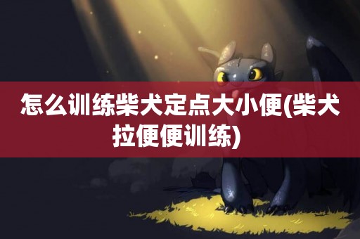 怎么訓練柴犬定點大小便(柴犬拉便便訓練) 