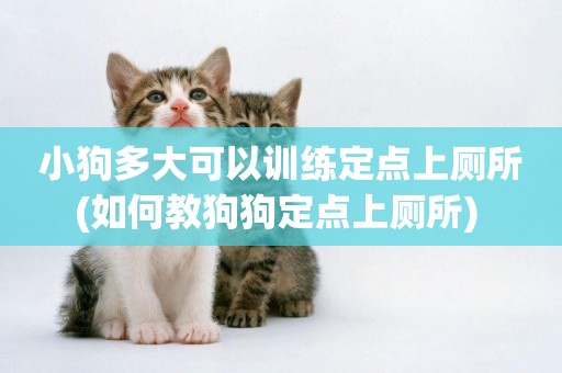 小狗多大可以訓練定點上廁所(如何教狗狗定點上廁所) 