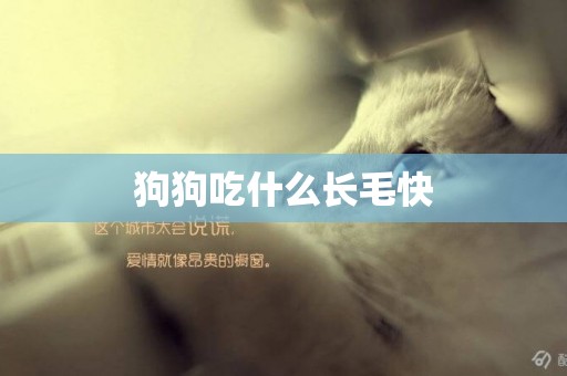 狗狗吃什么長毛快