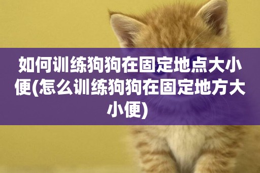 如何訓練狗狗在固定地點大小便(怎么訓練狗狗在固定地方大小便) 