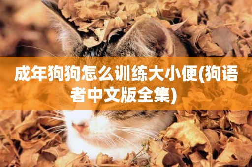 成年狗狗怎么訓練大小便(狗語者中文版全集) 