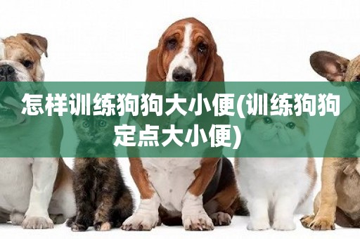 怎樣訓練狗狗大小便(訓練狗狗定點大小便) 