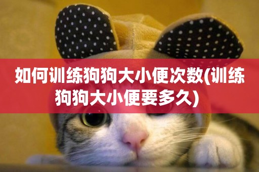 如何訓練狗狗大小便次數(訓練狗狗大小便要多久) 
