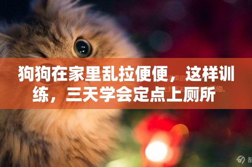 狗狗在家里亂拉便便，這樣訓練，三天學會定點上廁所 