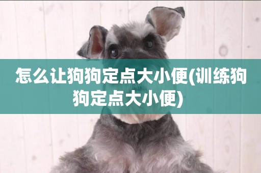 怎么讓狗狗定點大小便(訓練狗狗定點大小便) 