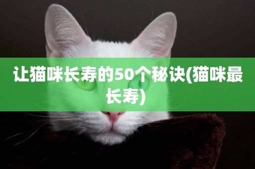 讓貓咪長壽的50個秘訣(貓咪最長壽) 