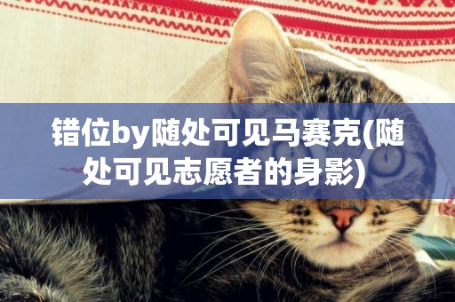 錯位by隨處可見馬賽克(隨處可見志愿者的身影) 