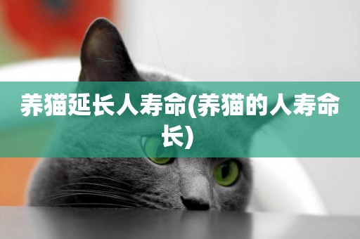 養貓延長人壽命(養貓的人壽命長) 