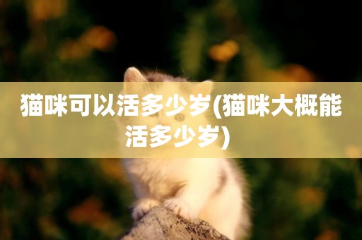 貓咪可以活多少歲(貓咪大概能活多少歲) 