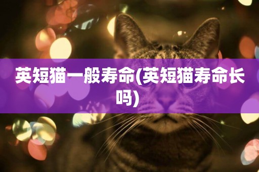 英短貓一般壽命(英短貓壽命長嗎) 