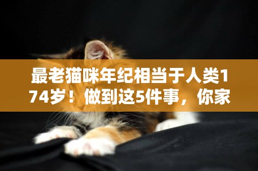 最老貓咪年紀相當于人類174歲！做到這5件事，你家主子也能長壽 