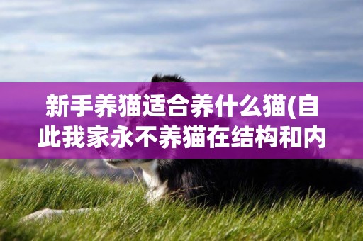 新手養貓適合養什么貓(自此我家永不養貓在結構和內容上有什么作用) 