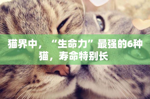 貓界中，“生命力”最強的6種貓，壽命特別長 