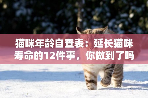 貓咪年齡自查表：延長貓咪壽命的12件事，你做到了嗎 