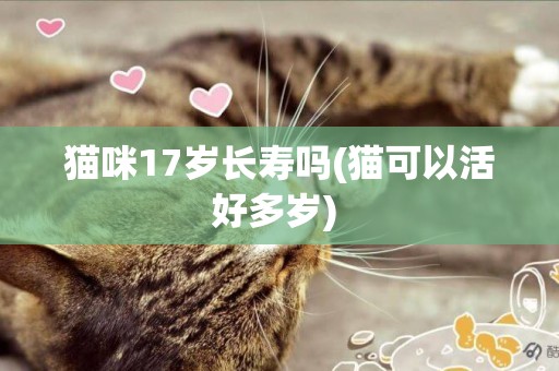貓咪17歲長壽嗎(貓可以活好多歲) 