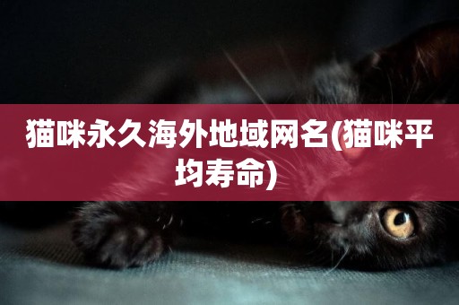 貓咪永久海外地域網名(貓咪平均壽命) 