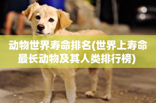 動物世界壽命排名(世界上壽命最長動物及其人類排行榜) 