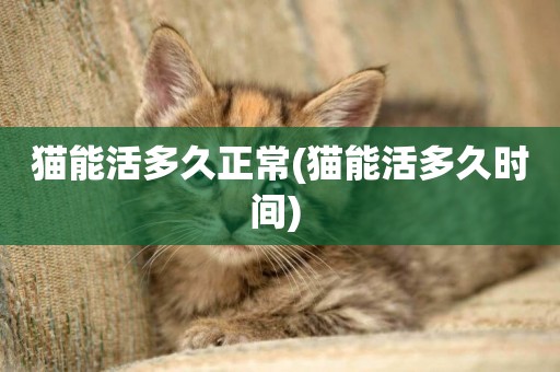 貓能活多久正常(貓能活多久時間) 