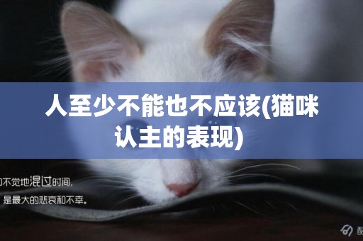 人至少不能也不應該(貓咪認主的表現) 