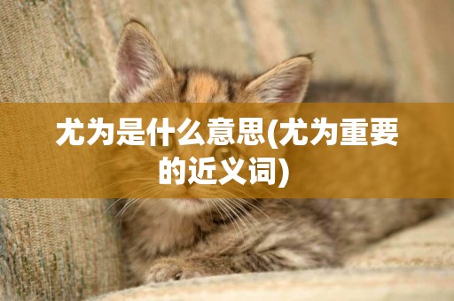 尤為是什么意思(尤為重要的近義詞) 