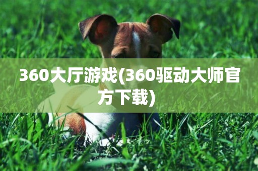 360大廳游戲(360驅動大師官方下載) 