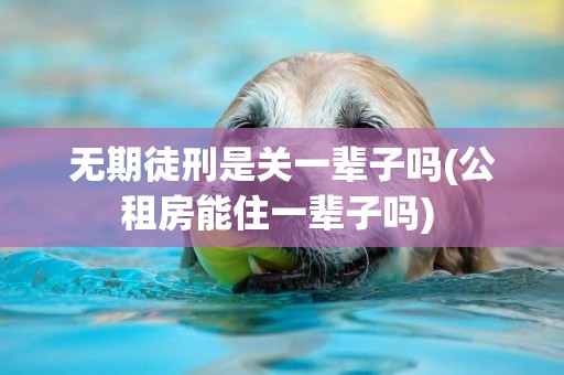 無期徒刑是關一輩子嗎(公租房能住一輩子嗎) 