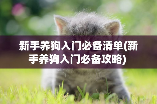 新手養狗入門必備清單(新手養狗入門必備攻略) 